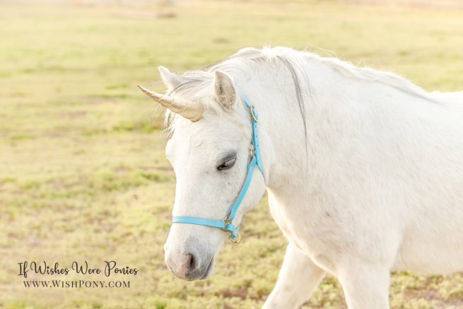 WishPony Metallic Gold Classic Unicorn Horn for Pony