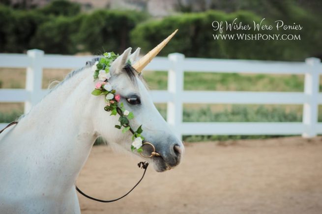 Pale Gold Unicorn Horn for Horse Pony