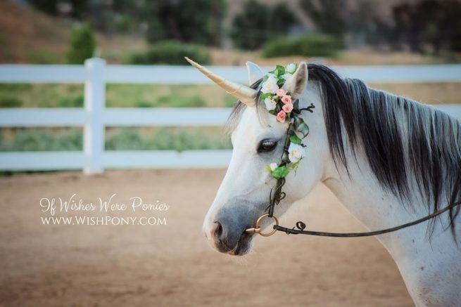 Unicorn Horn for Horse Pony