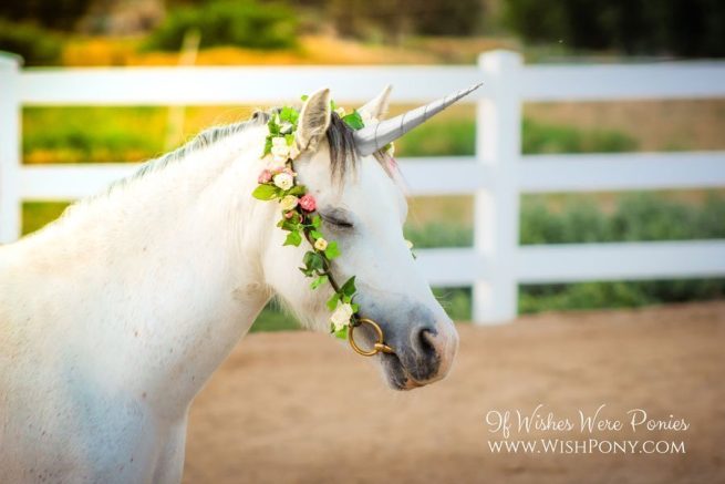 Silver Unicorn Horn for Horse Pony