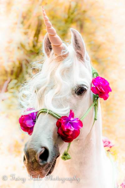 Unbridled Unicorn Horn™ for Horses & Ponies - Photo &copy; Fairy Tails Photography (Somerset, UK)