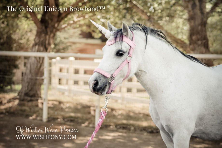 WishPony Original Unicorn Browband for Horses Ponies
