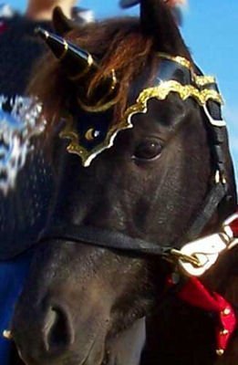 Unicorn Browband™ 2005