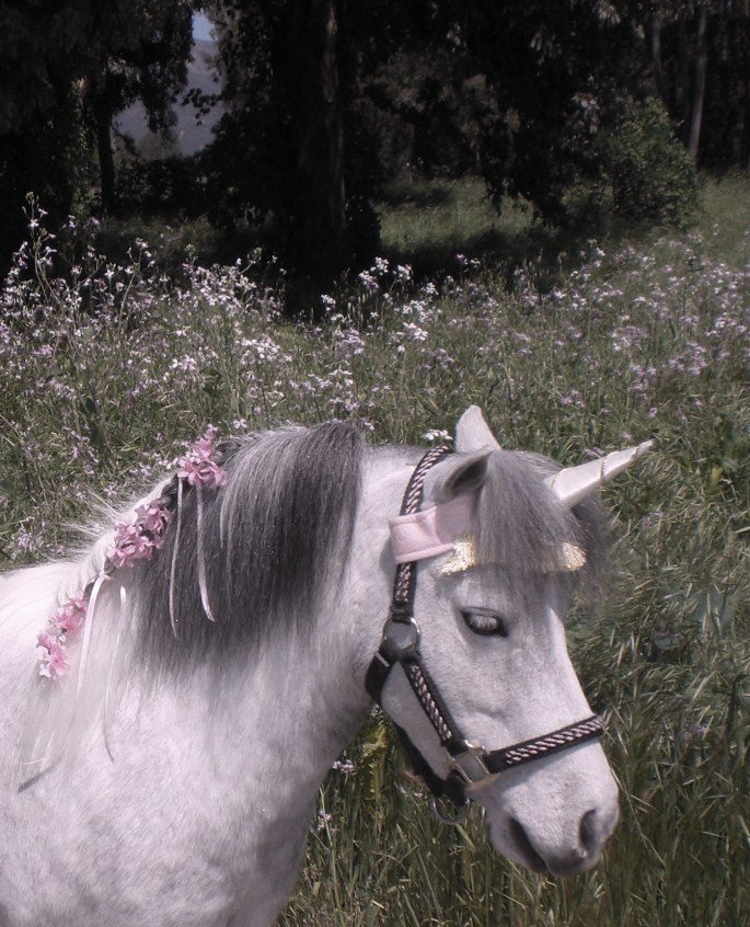 Unicorn Browband™