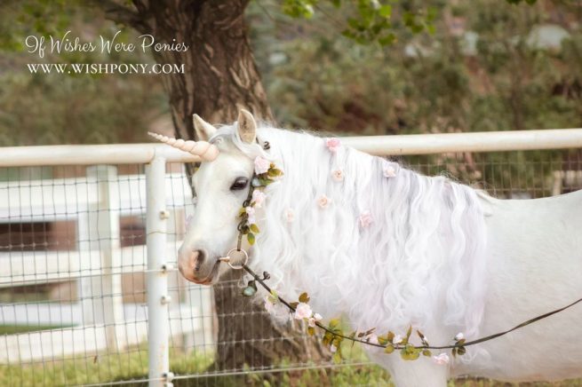 Golden Unicorn Horn for Horse