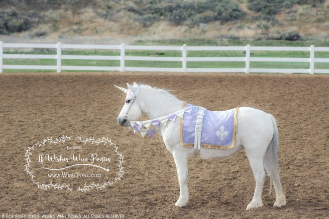 WishPony Princess Pony Costume Set