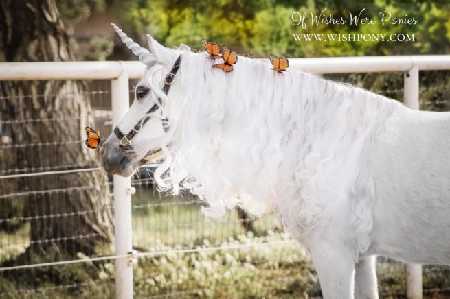 Silver Unicorn Horn for Horse