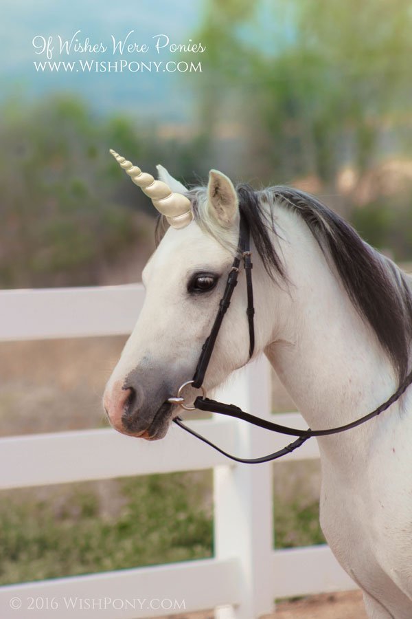 Pale Gold Unicorn Horn