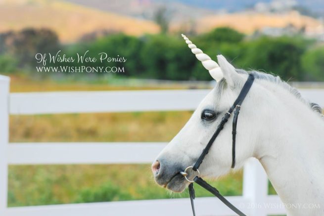 Ivory and Gold Unicorn Horn