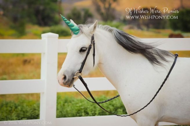 Jade Unicorn Horn