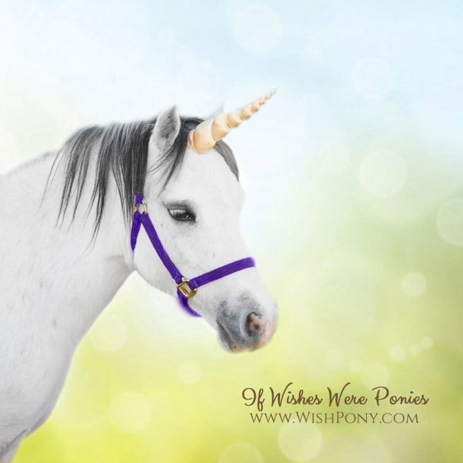 Gold Unicorn Horn for Horse