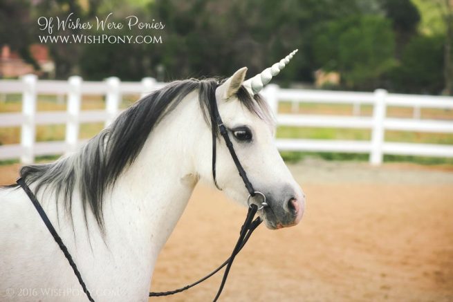 Silver Unicorn Horn