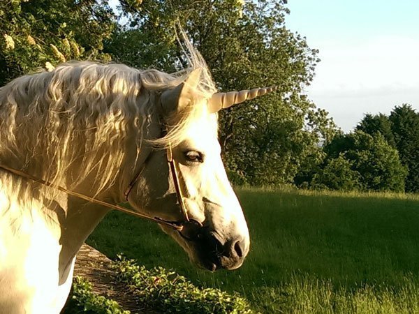Unicorn Horn
