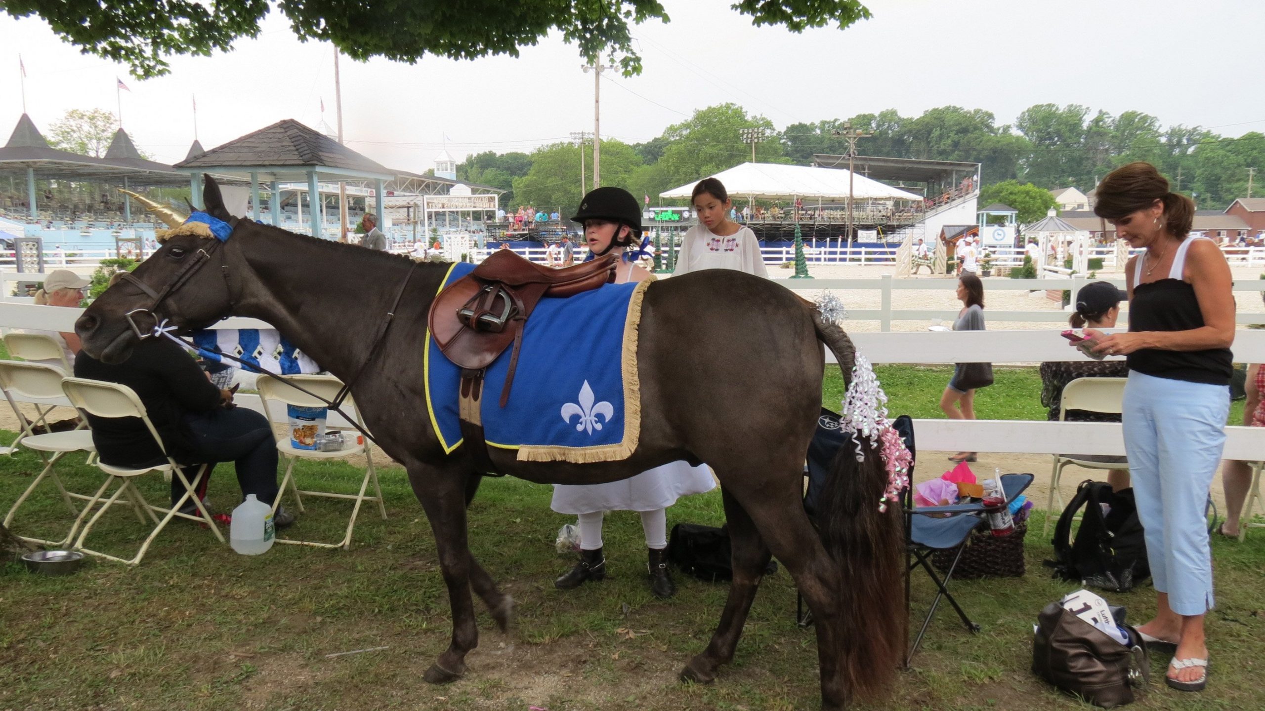 Fleur de Lis Saddle Blanket