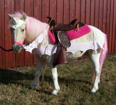 Unicorn Browband™ 2005