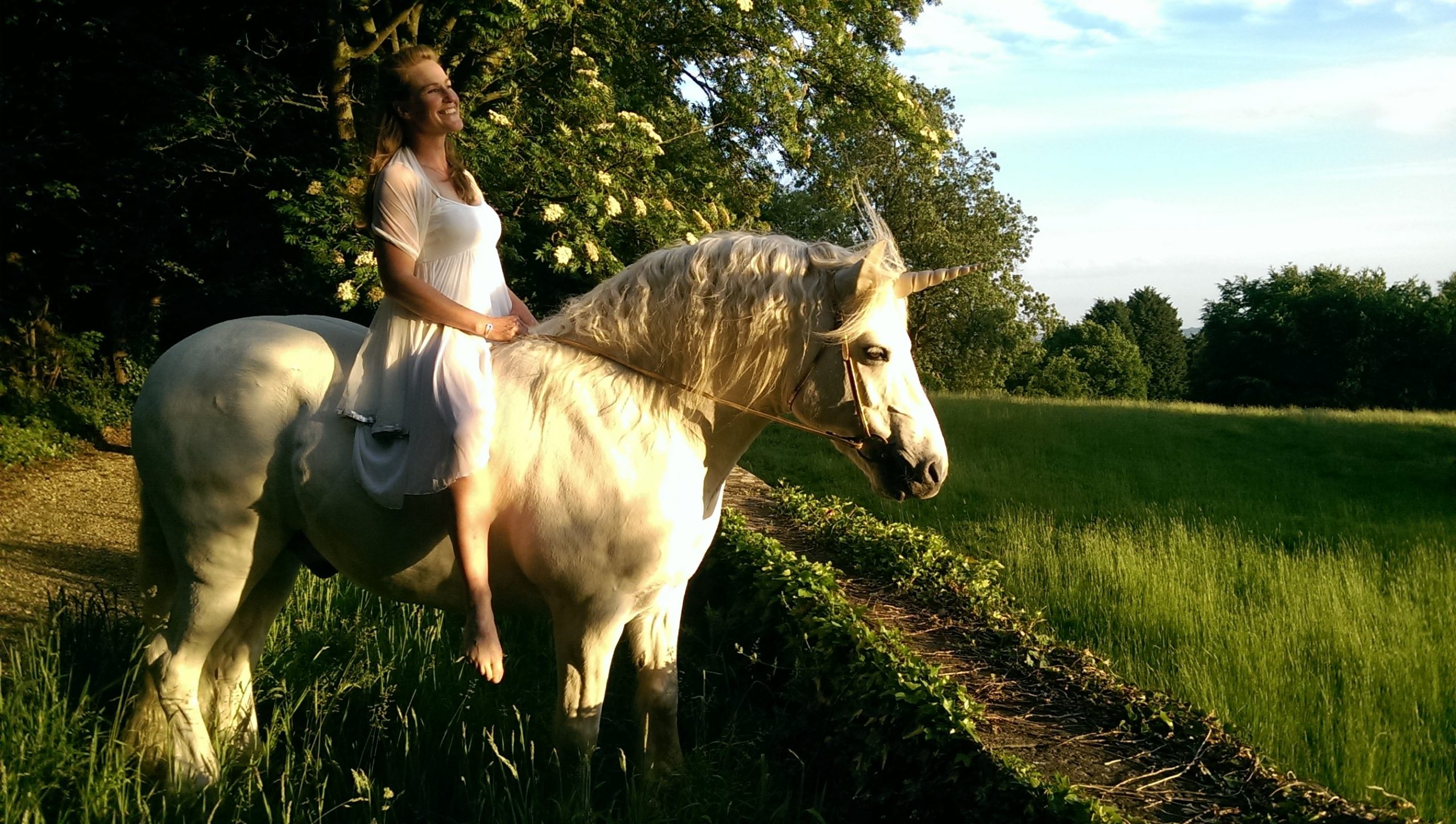 Contoured Natural-Look Unicorn Horn™ - Photo &copy; Jive Pony (UK)