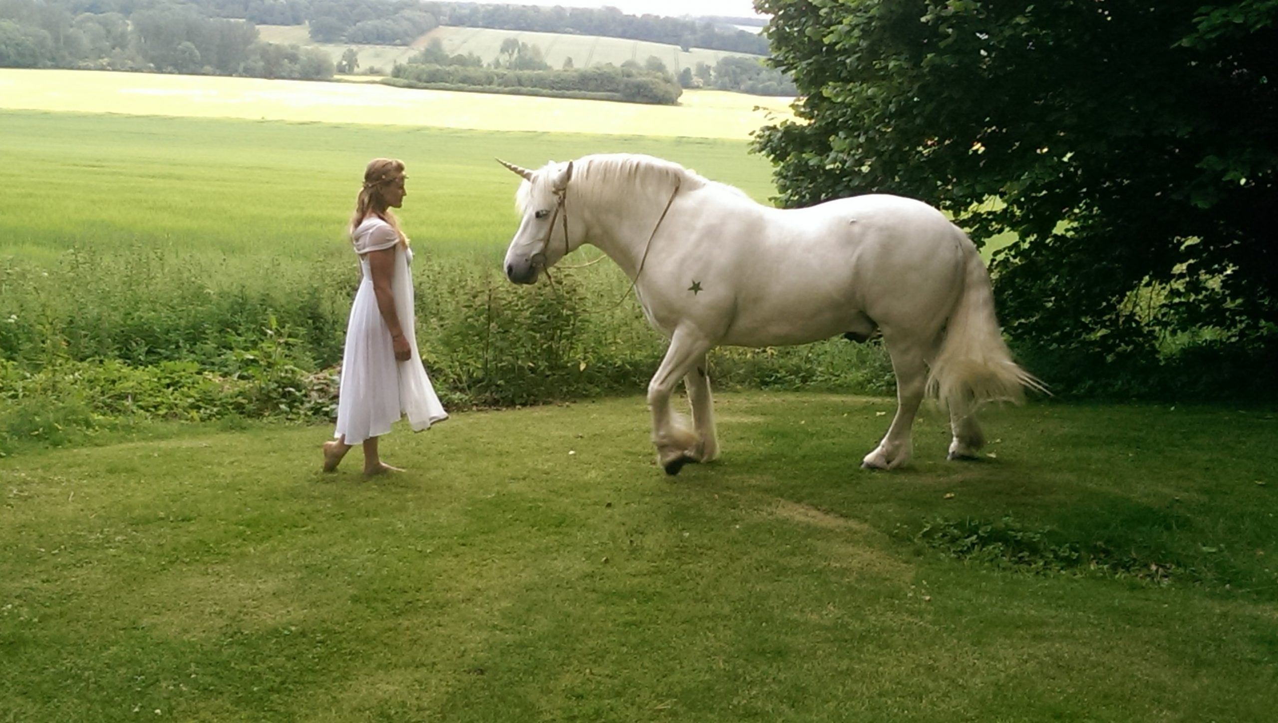 Contoured Natural-Look Unicorn Horn™ - Photo &copy; Jive Pony (UK)
