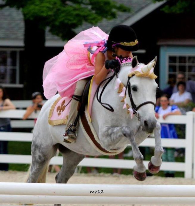 Little Princess / Prince Charming Contoured Unicorn Browband™, Rein Covers & Saddle Blanket Set - Custom - Image 6