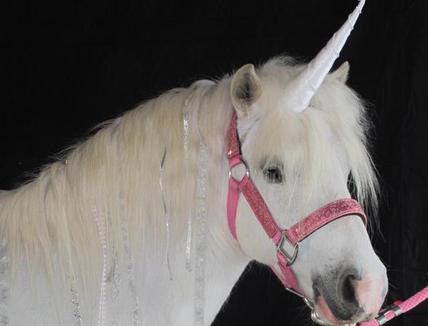 Classic Natural-Look Unicorn Horn™