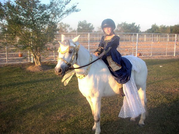 Unicorn Browband™ 2005
