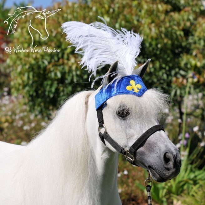 Horse Plume