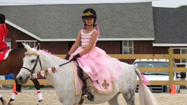 Princess Set with Unicorn Browband™ and Rein Covers