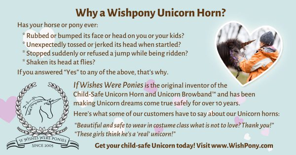 Wishpony Unicorn Horns