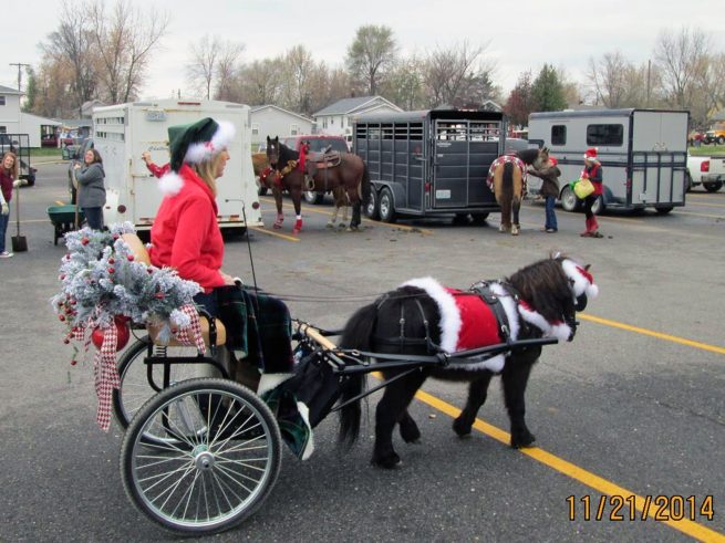 Christmas Pony