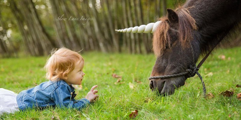 Unicorn Encounter