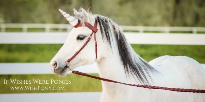 Unicorn Show Browband
