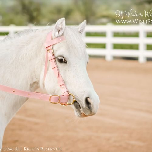 Leather Tack