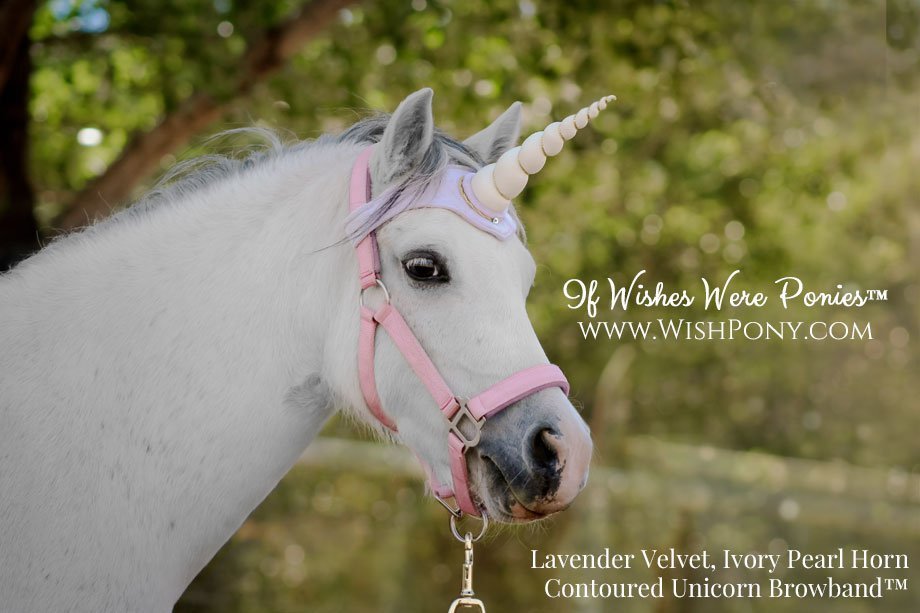 Wishpony Unicorn Browband