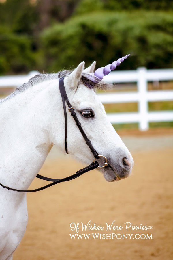 Lavender Unicorn Horn