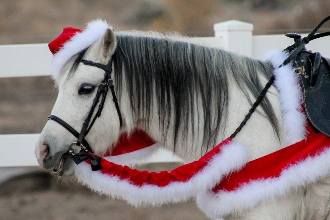 WishPony Santa Horse Costume