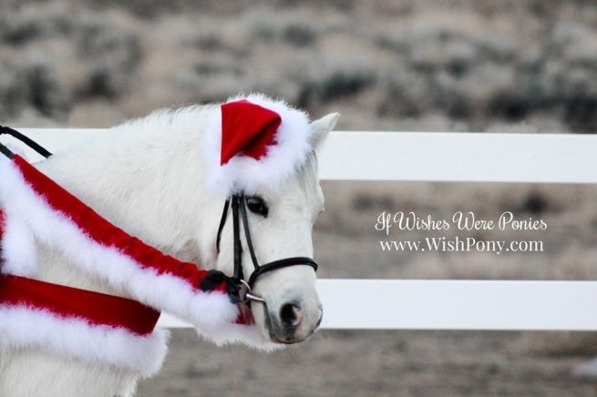 WishPony Santa Horse Costume