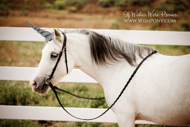 WishPony Dark Grey Unicorn Horn for Horses Ponies
