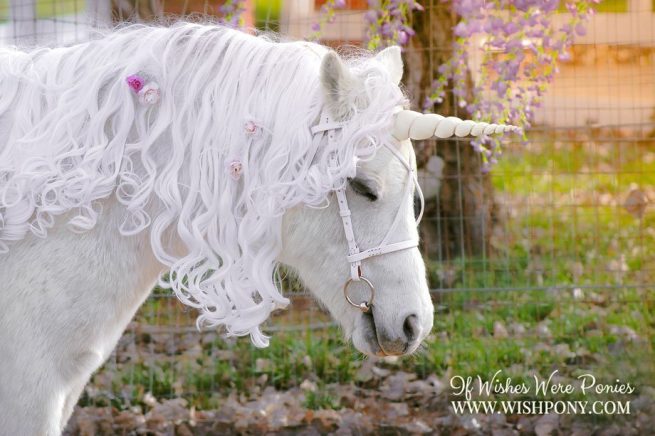 WishPony Ivory Unicorn