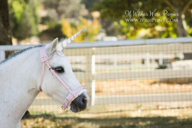 White Unicorn Horn for Horse Pony