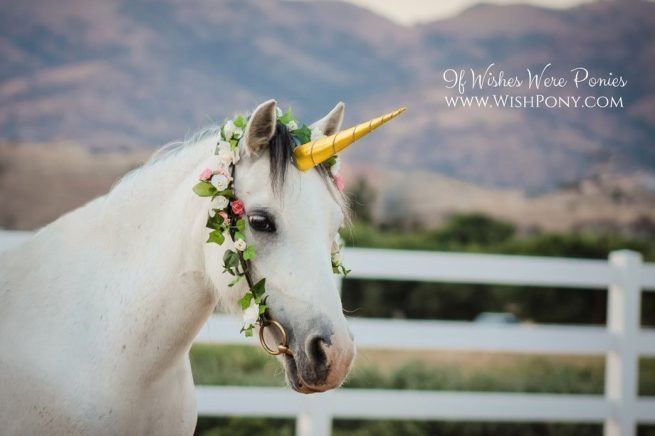 Gold Unicorn Horn for Horse Pony