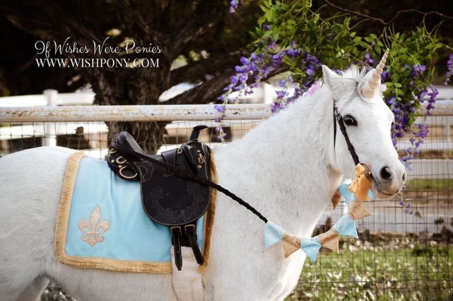 WishPony Unicorn Set