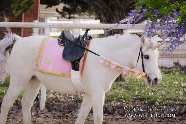 WishPony Pink Unicorn Princess Set