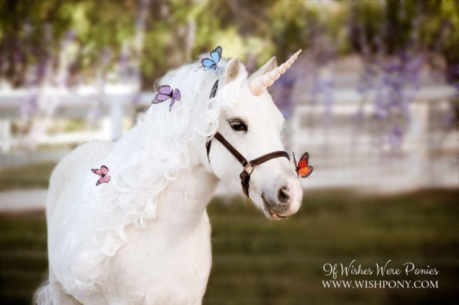 Unicorn with Butterflies