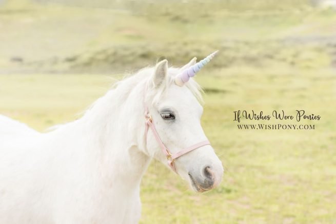 Child-safe rainbow unicorn horns by Wishpony.com