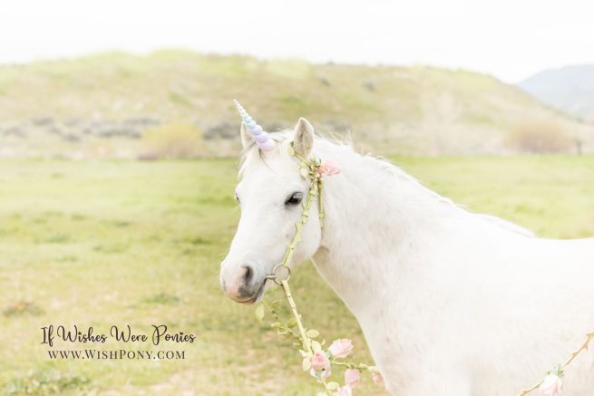 Romantic rainbow unicorn with floral vine bridle