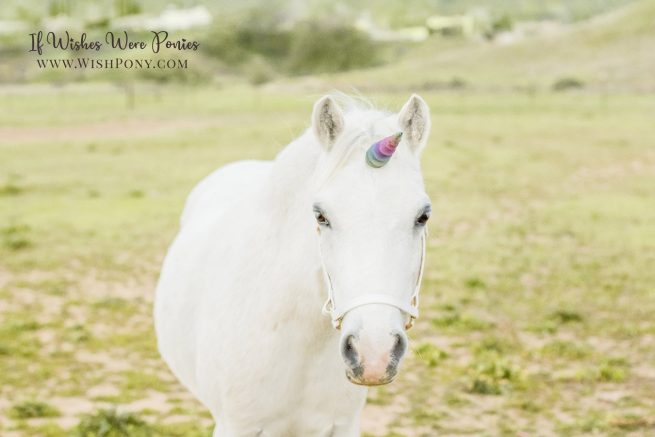 Custom Rainbow Unicorn Horn for horses and ponies