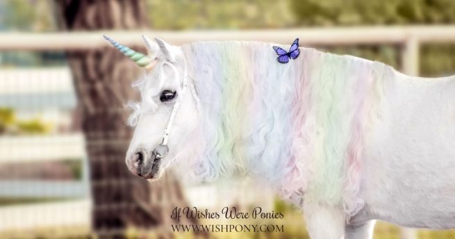 Pastel Rainbow Unicorn Horn for Horse Pony