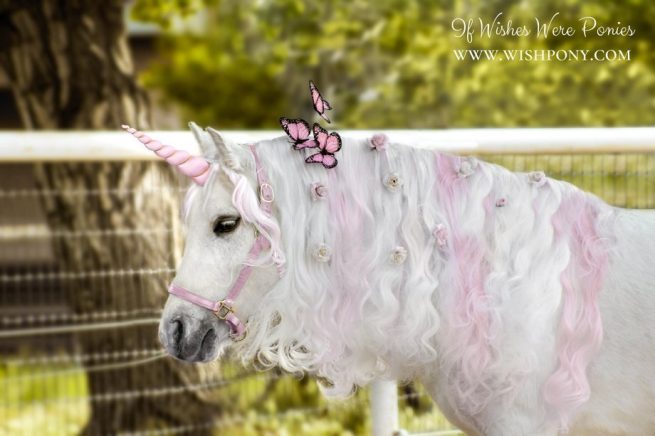 Unicorn Butterflies