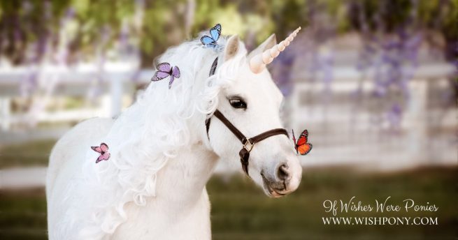 PURPLE Friendly Monarch Butterfly Mane / Tail Hair Clip for Horse & Pony; Unicorn Photography (1 Piece) Ready to Ship