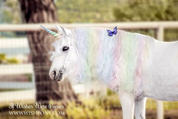 Pastel Rainbow Unicorn Horn for Horse Pony