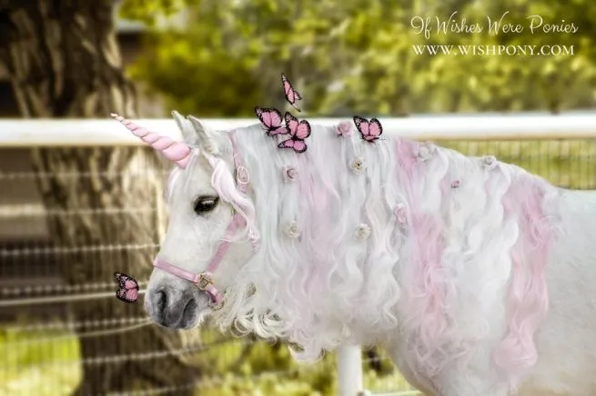 WishPony PInk Unicorn Horn